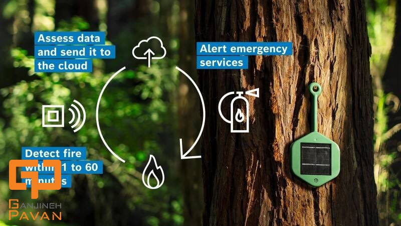 تشخیص آتش سوزی با هوش مصنوعی در جنگل ها